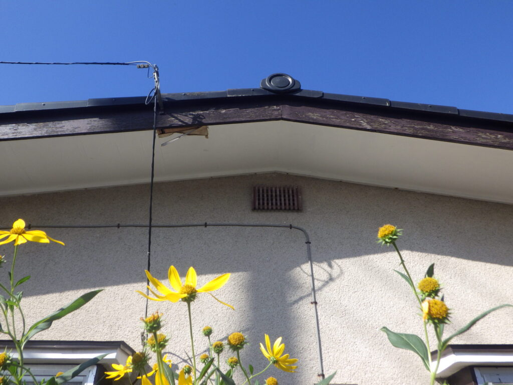 施工前の軒天の状態です