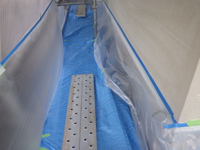 基礎養生をしました