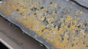 施行前の屋根の状態です