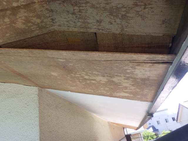 軒天剥がし終了です