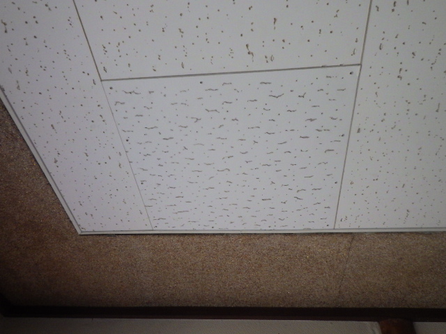 開口前の軒天です