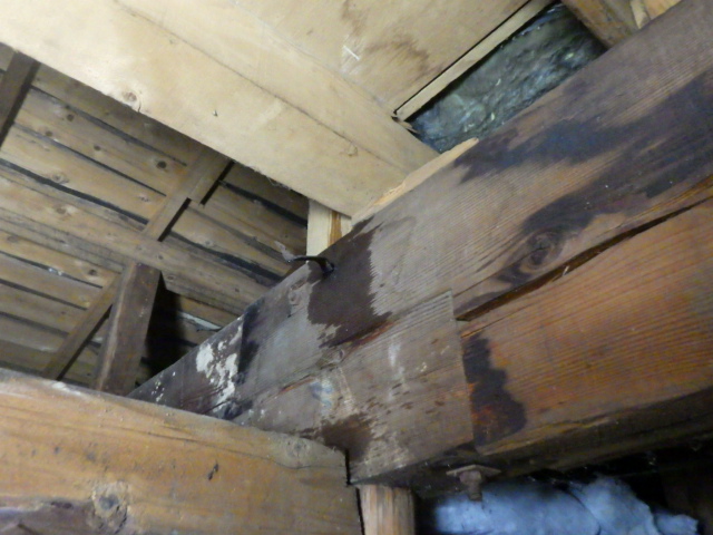 小屋裏の雨漏りの状態です