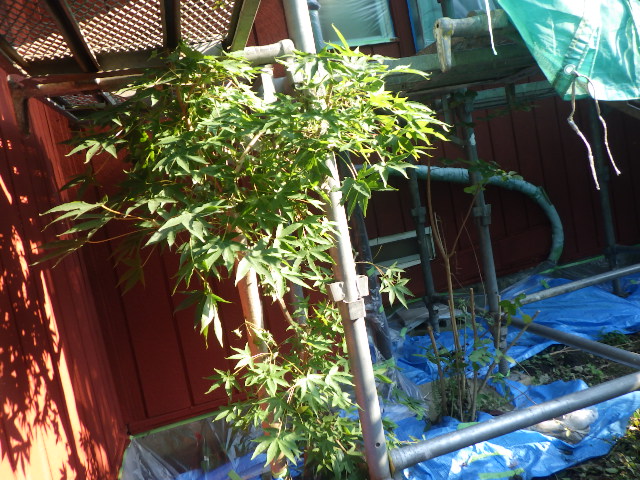 １階の錆止め塗装終了です