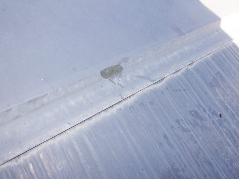 釘頭のシーリング終了です