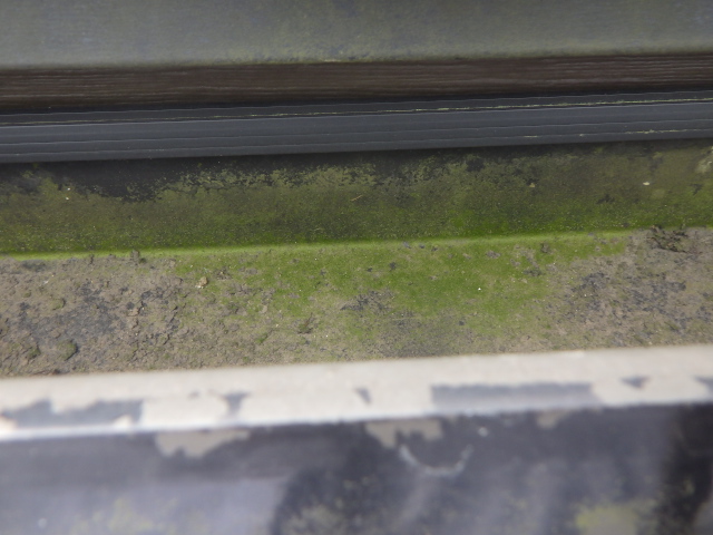 施工前の雨樋内の状態です