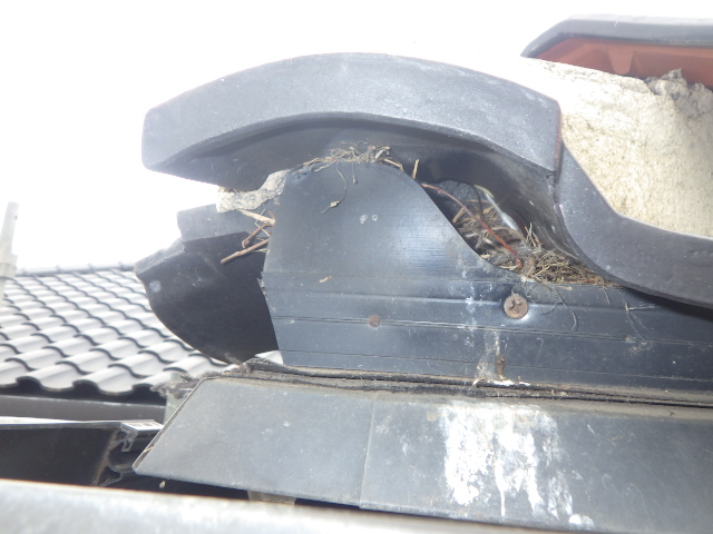 施工前のスズメ口の状態です