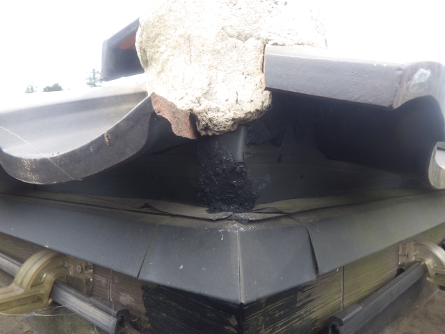 スズメ口を塞ぎました