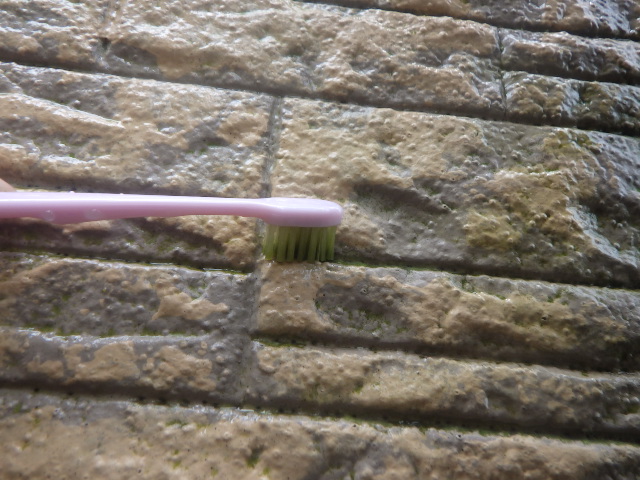 外壁の清掃中です