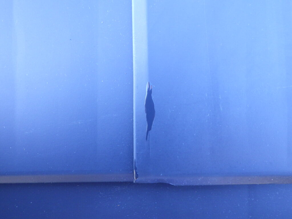 タッチップ終了です