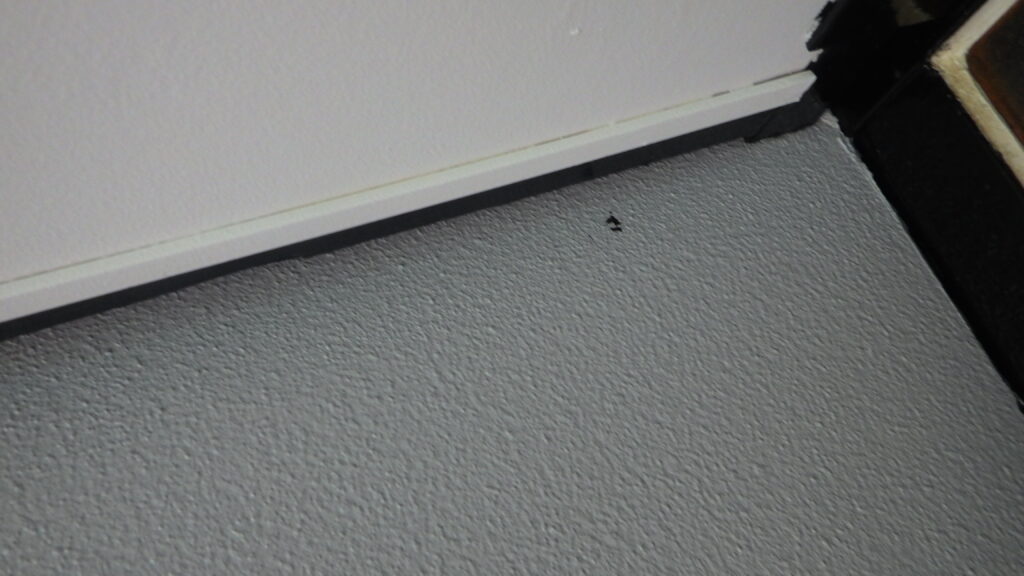 ダメ直し中です