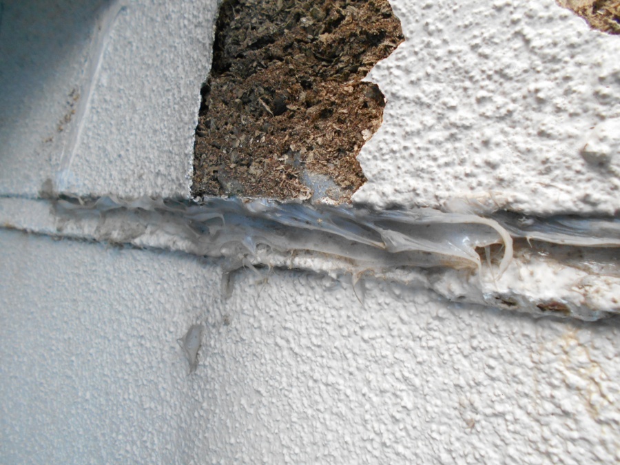 新潟市西区　外壁の問題