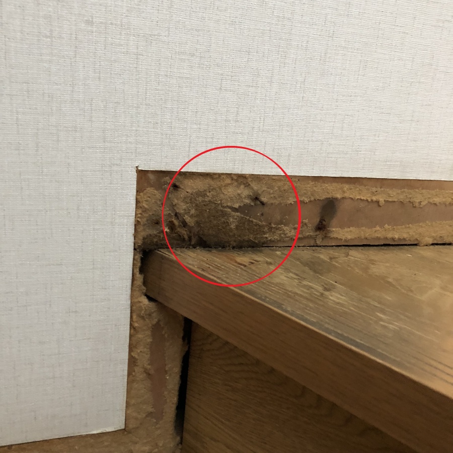 新潟市西区雨漏り調査（散水試験）