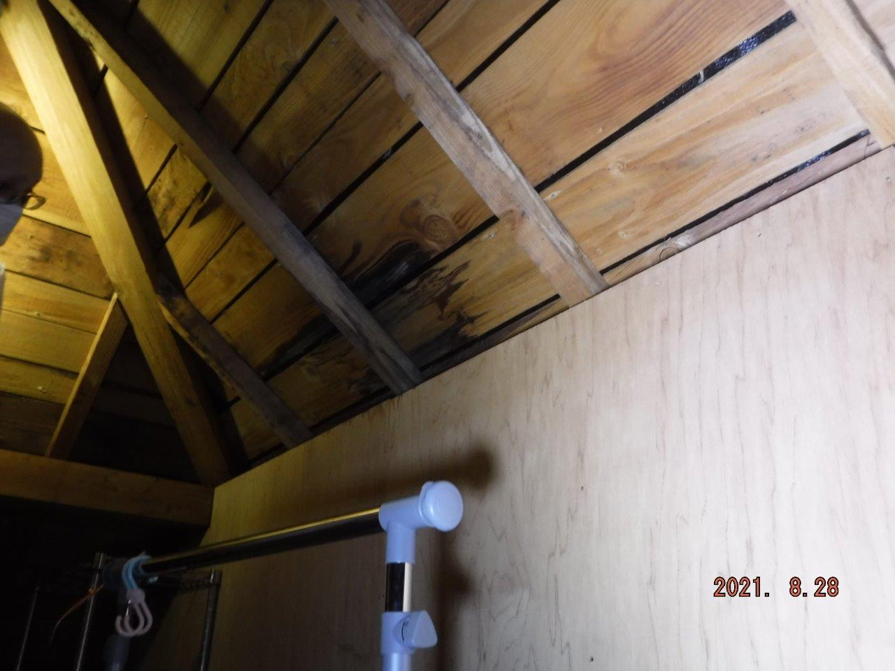 棟板金の傷みによる雨漏れ発生で現地調査