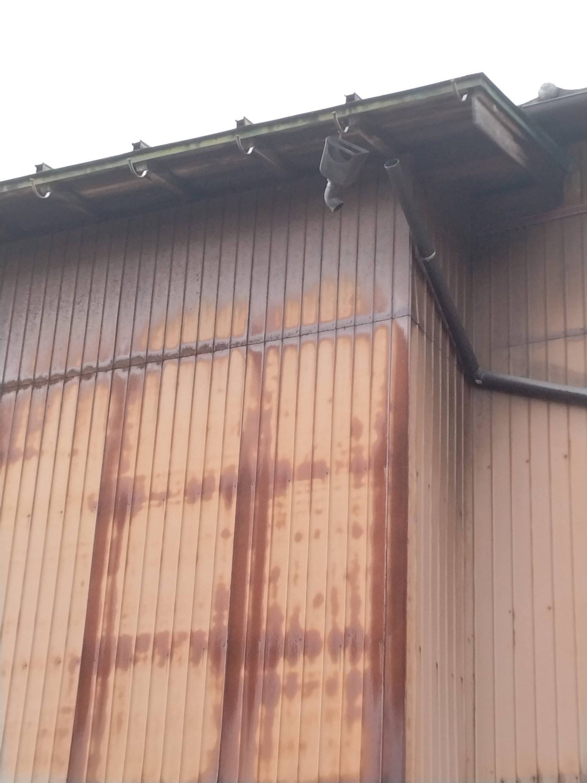軒樋破損　現地調査