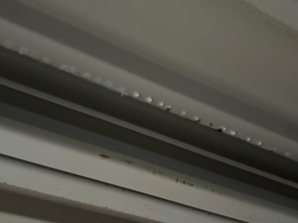 車庫雨漏れ　現地調査