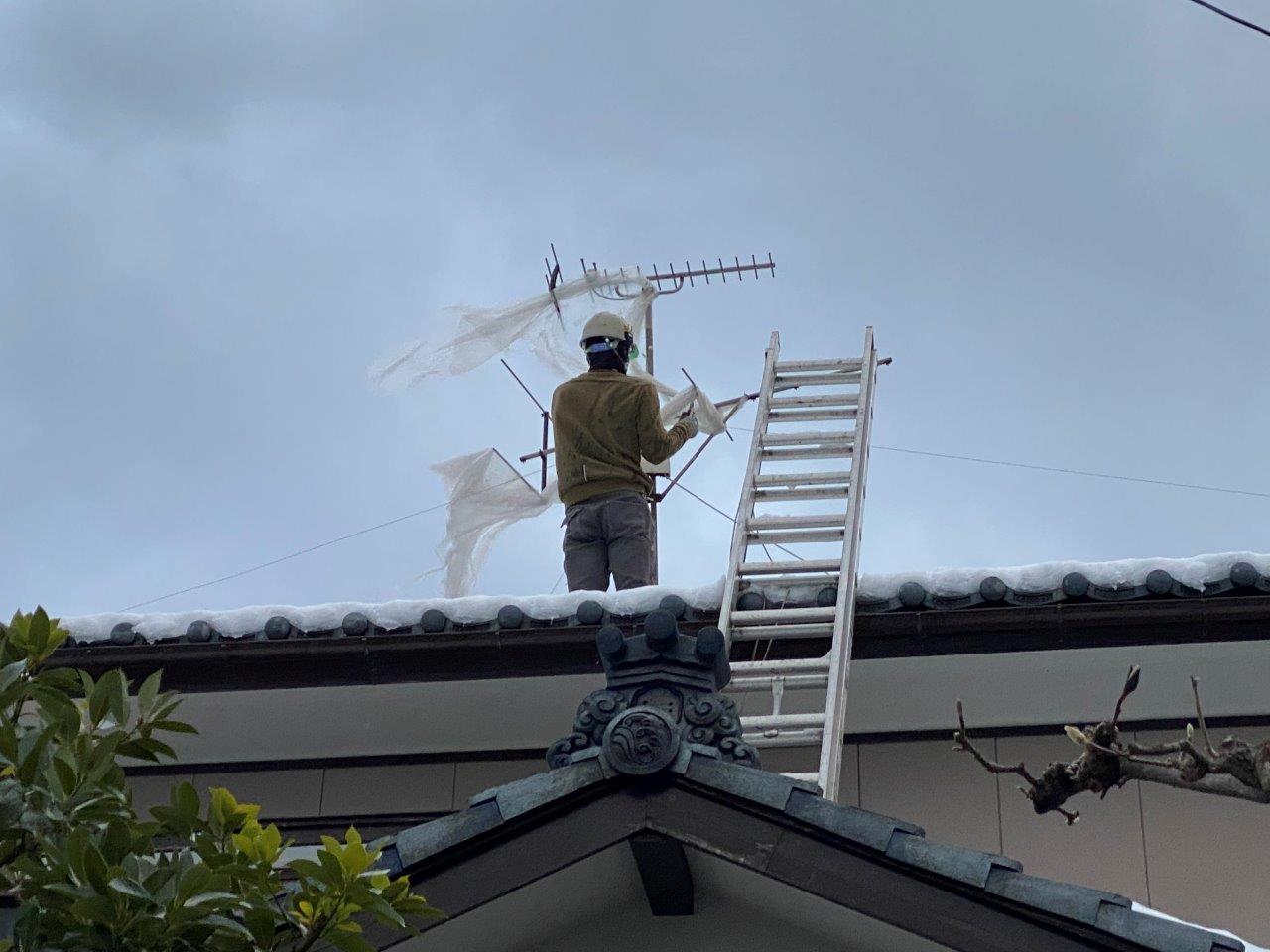 ビニール袋撤去