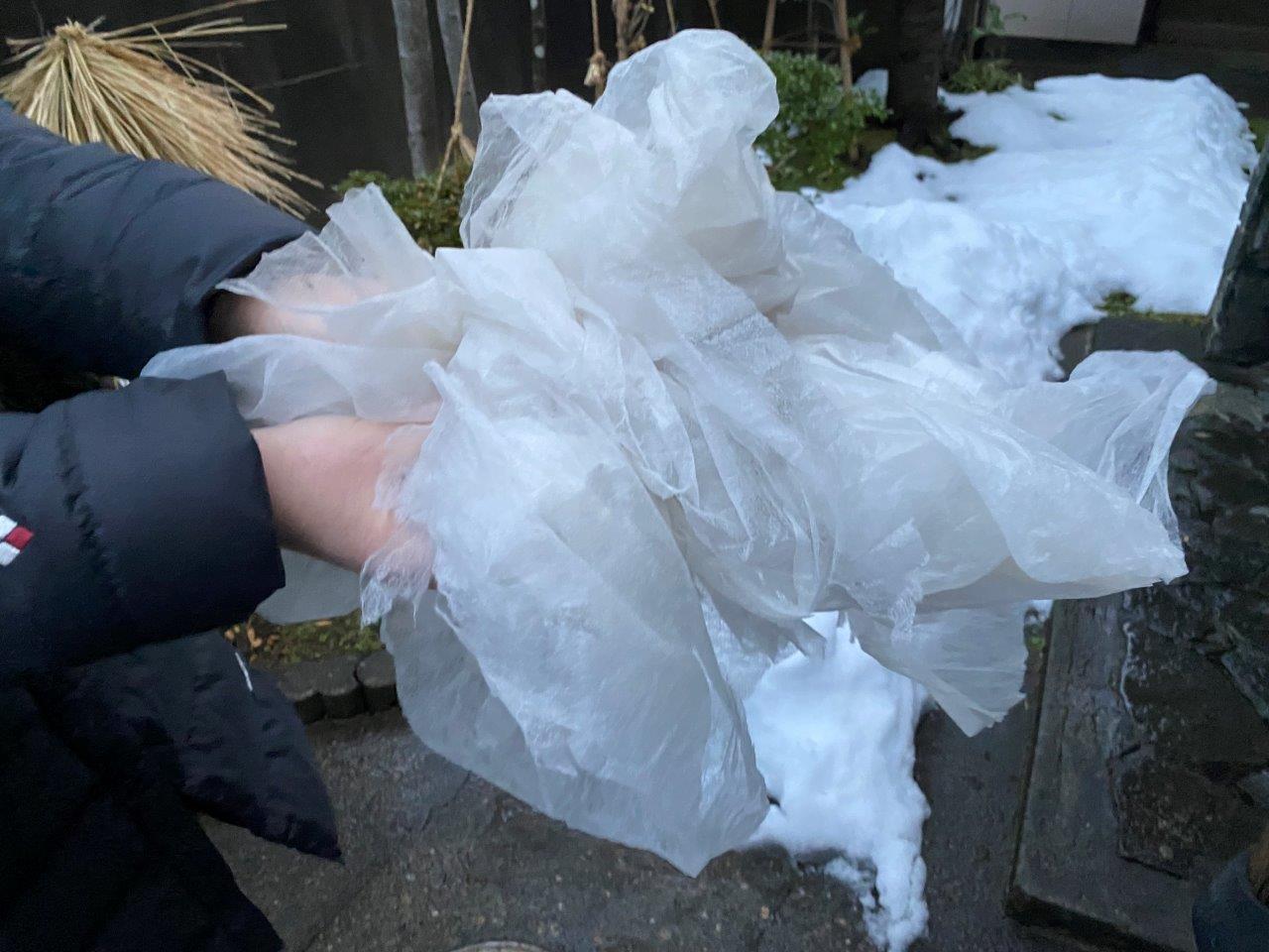 ビニール袋撤去