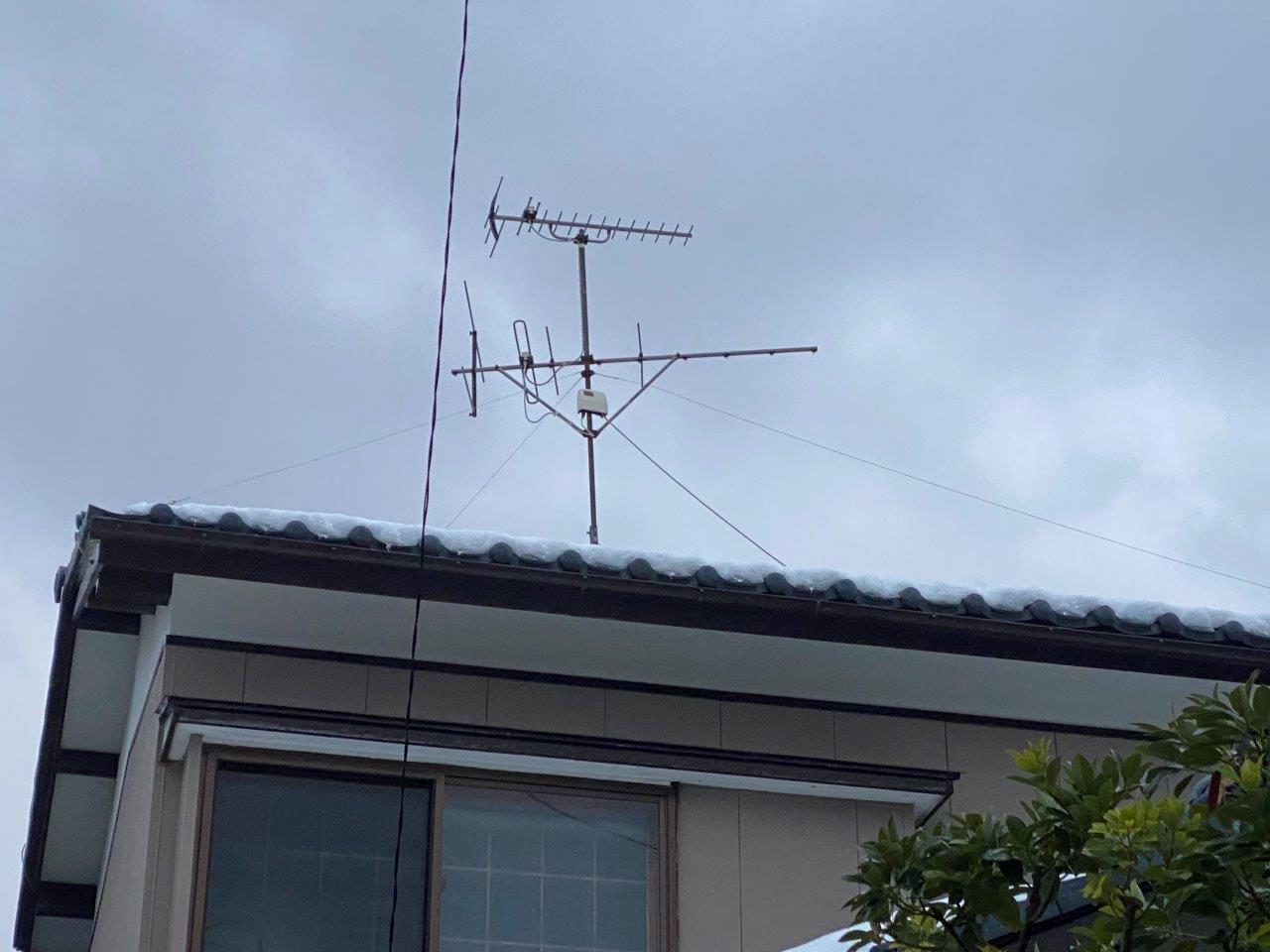 ビニール袋撤去