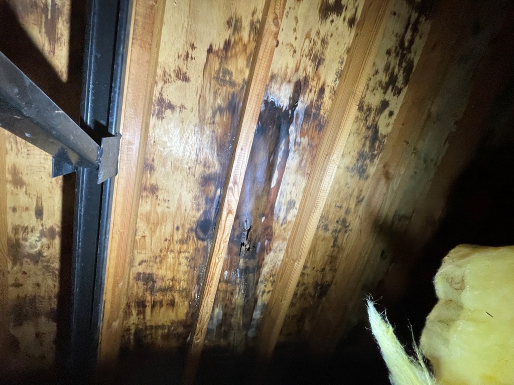 2階部屋の天井から雨漏れ