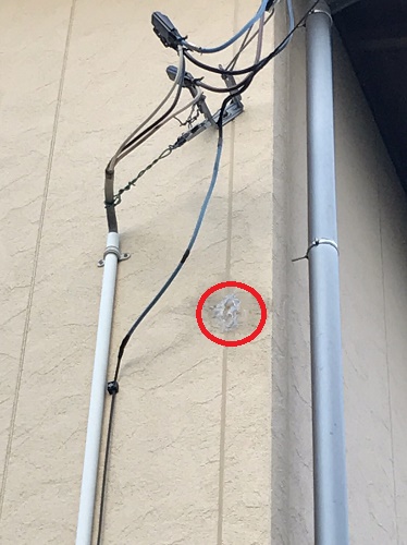 外壁張替工事の着工前