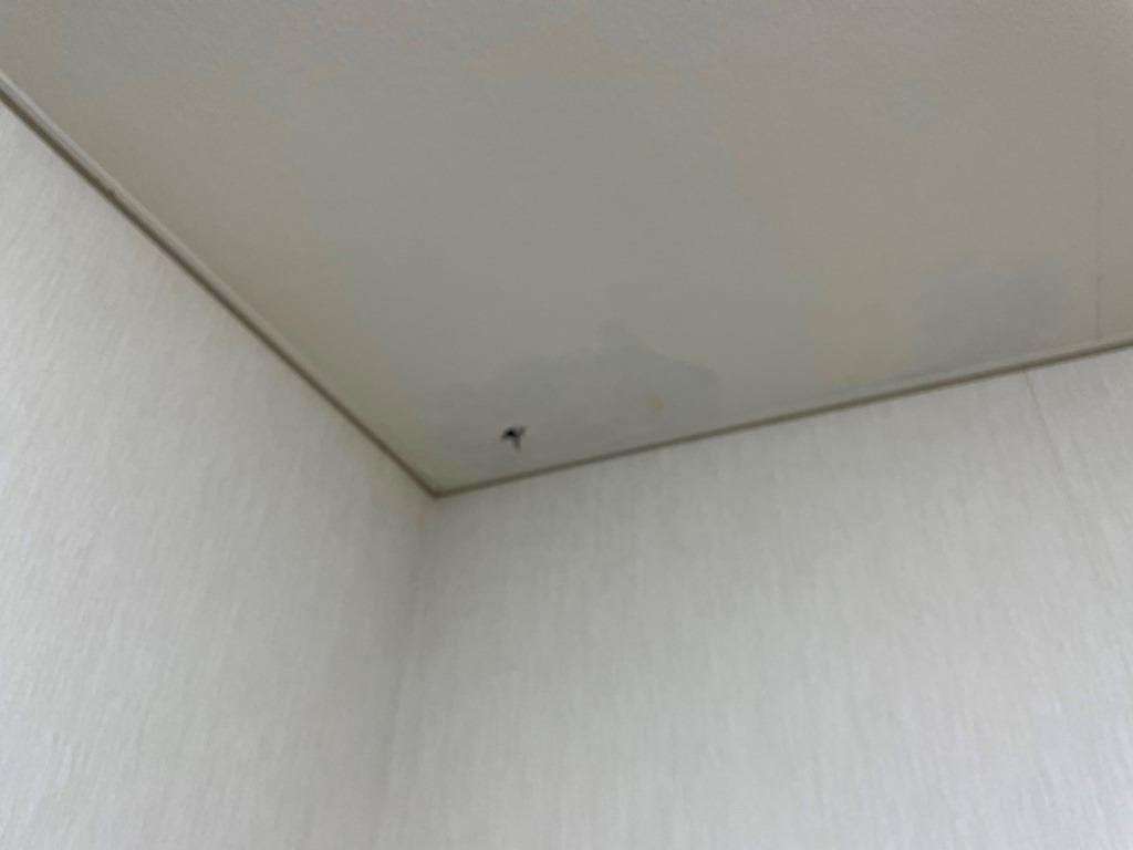 築22年瓦屋根雨漏れ　現地調査