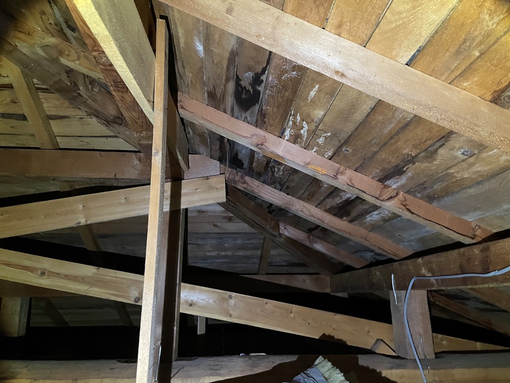 築22年瓦屋根雨漏れ　現地調査