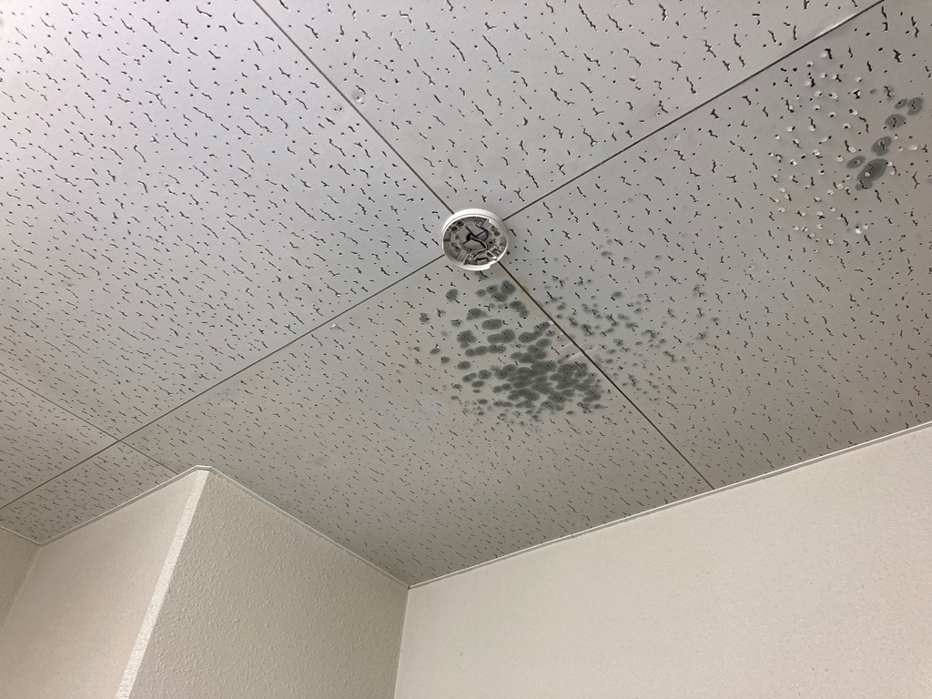 新潟市江南区天井より雨漏れ発生