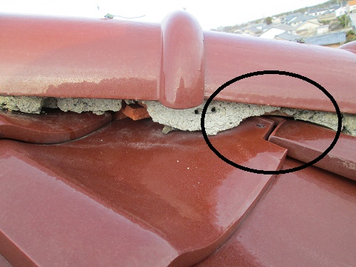 棟瓦のセメントの劣化