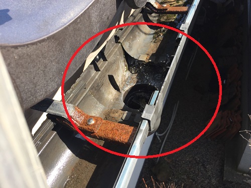 集水器　軒樋　仮掃除