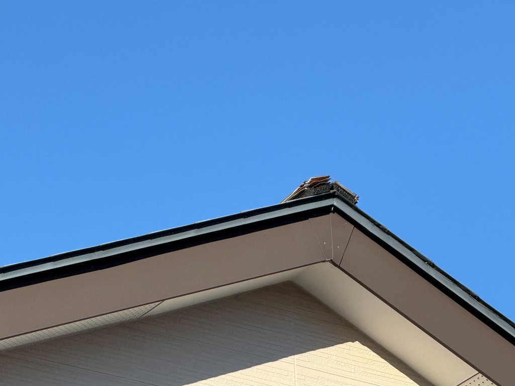 棟板金が飛散し下地が露出している状況