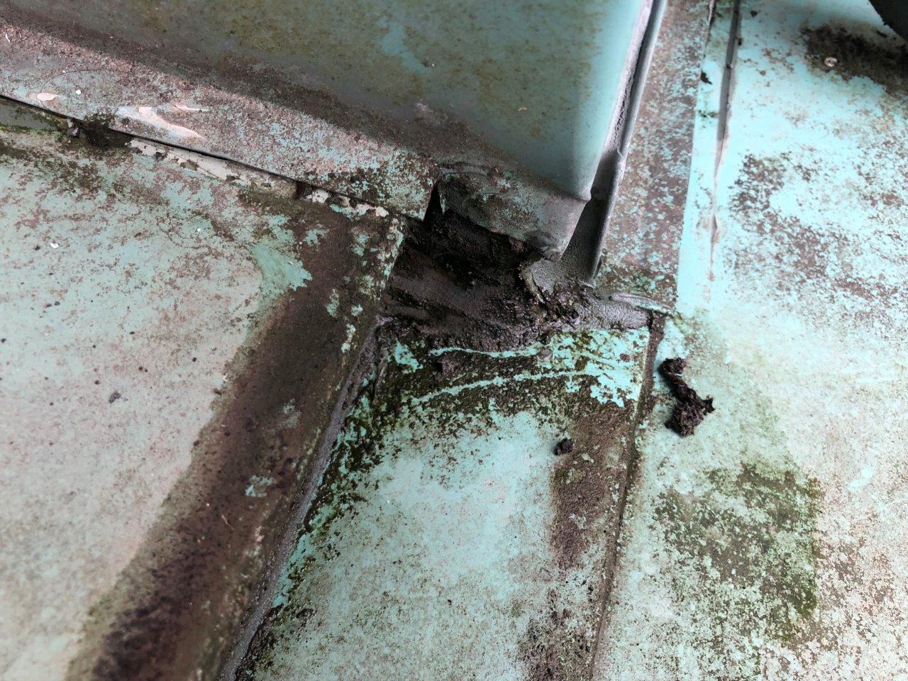 雨漏れ　現地調査