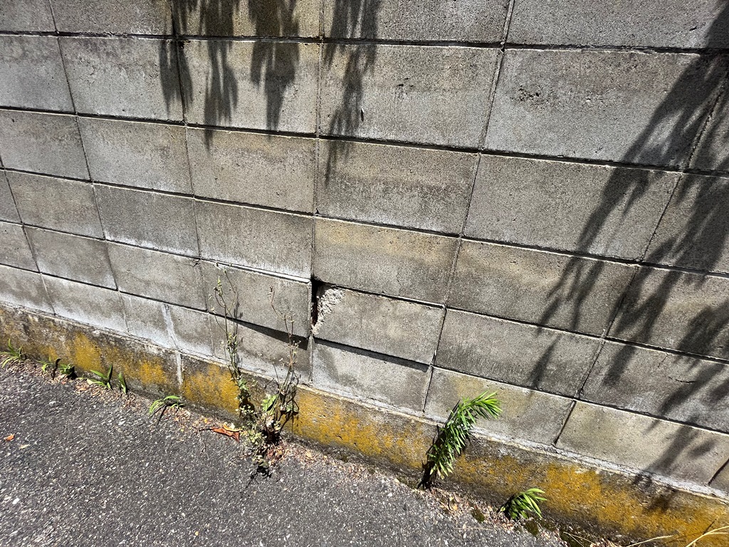 ブロック塀解体　現地調査