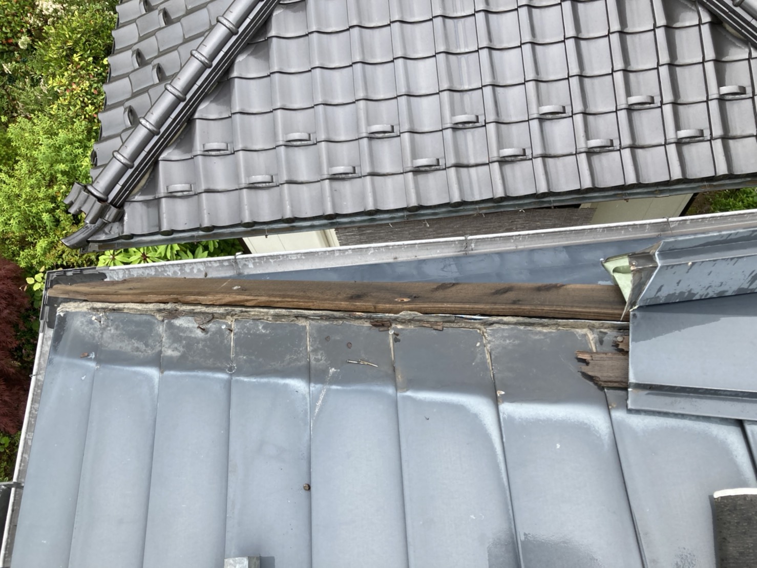 棟板金応急処置