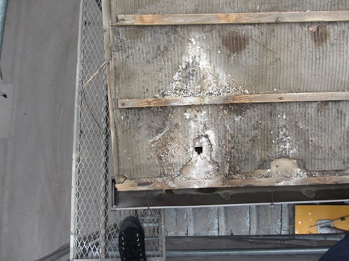 屋根葺き替え工事、瓦屋根解体工事、下葺劣化