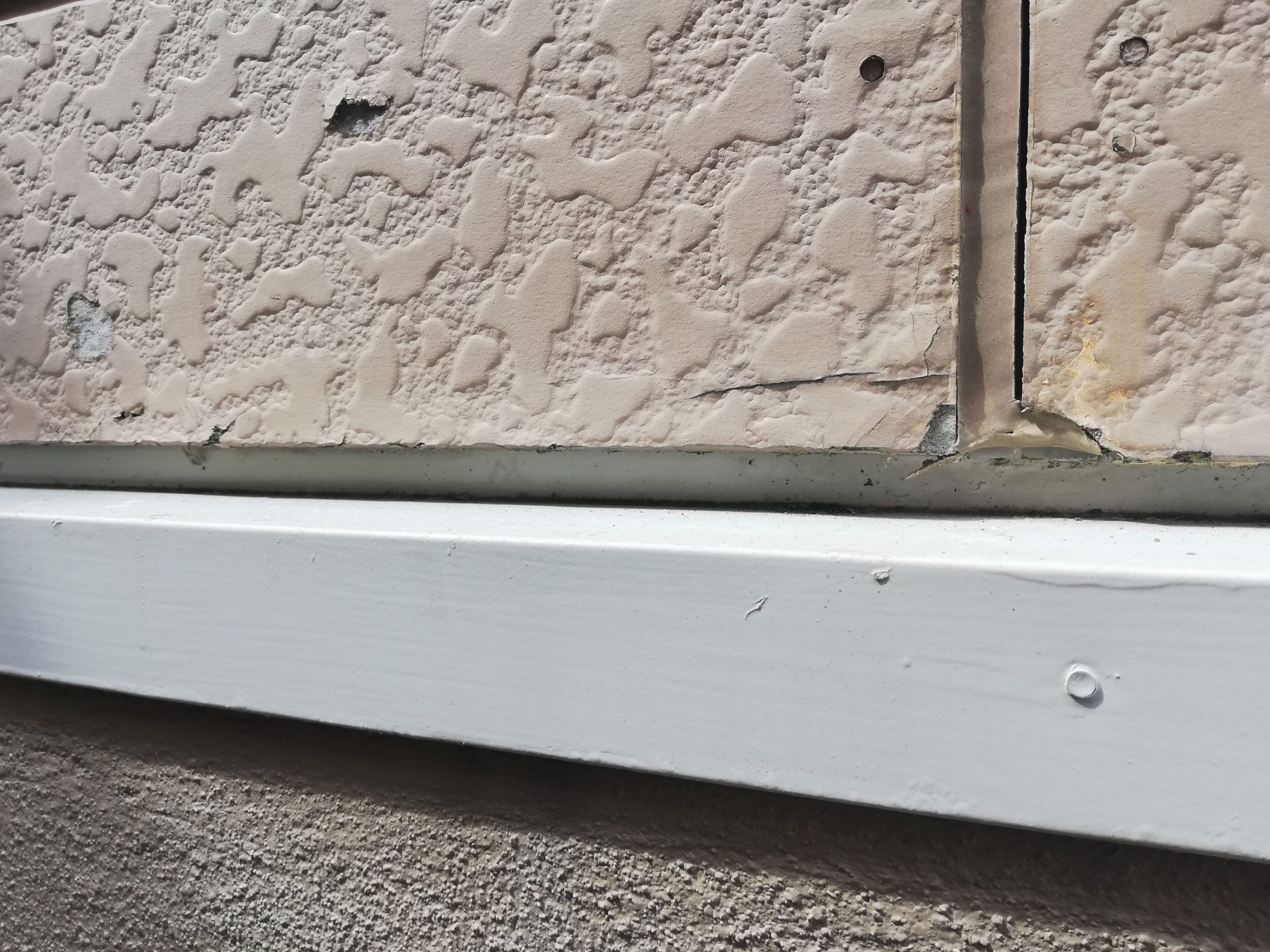 外壁一部張替・塗装工事