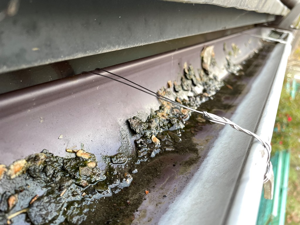 軒樋外れ　現地調査