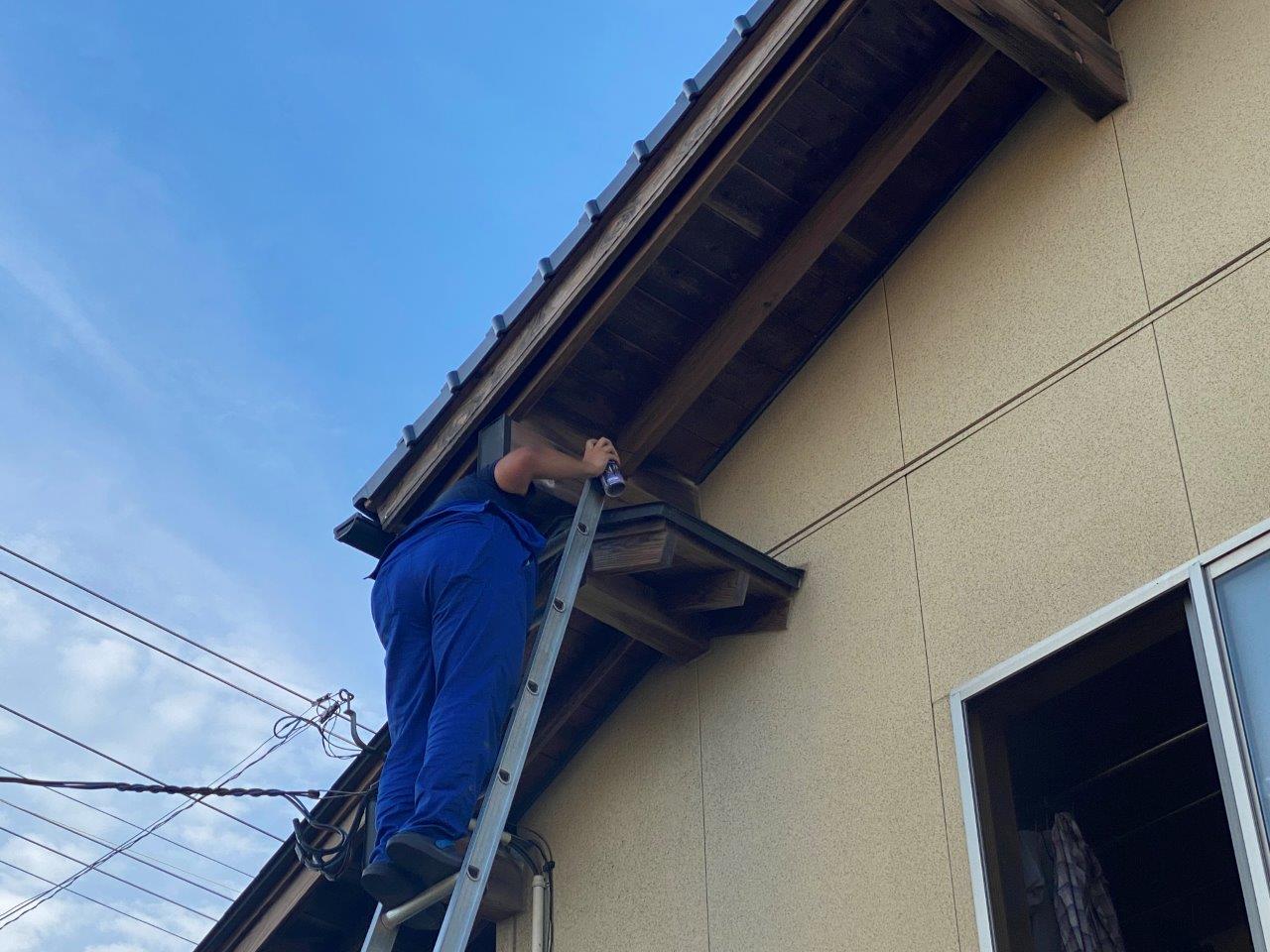 コウモリ駆除・対策