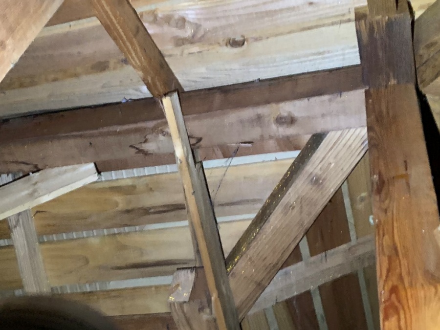 雨漏り現地調査