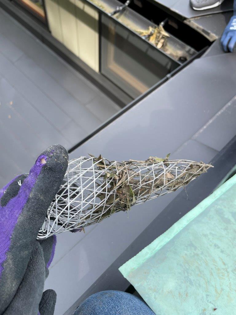 大屋根軒樋清掃