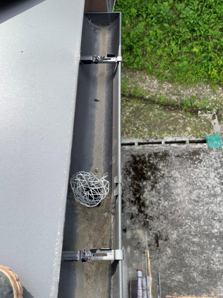 大屋根軒樋清掃