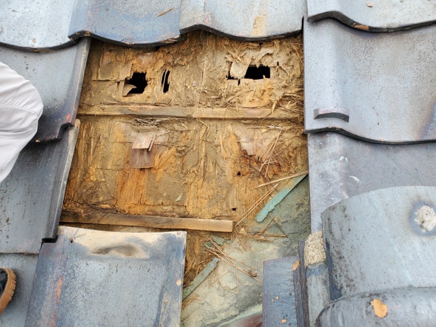 谷板金交換他工事