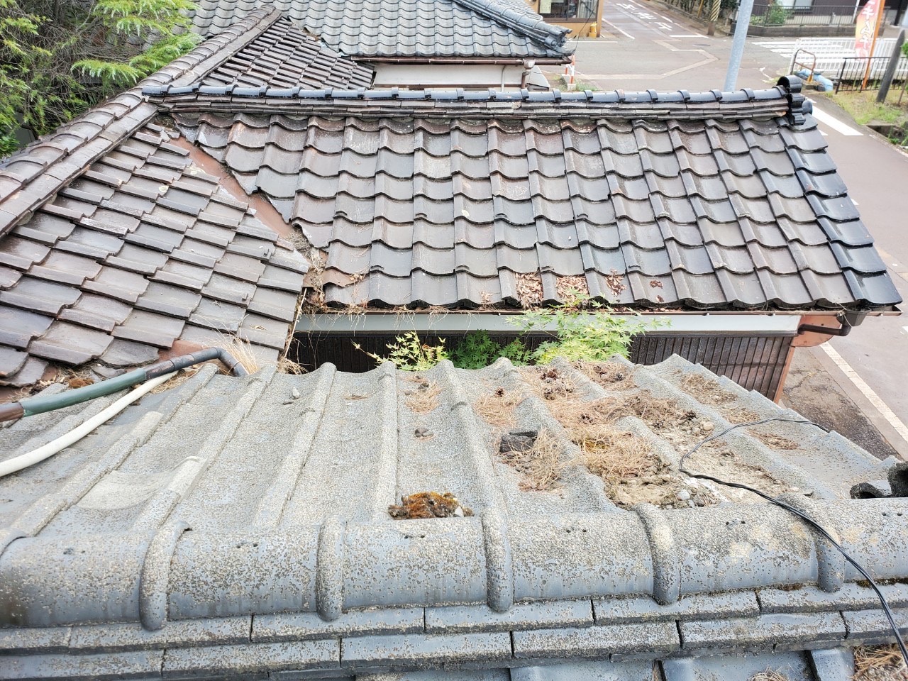 築50年の瓦屋根雨漏れ現地調査