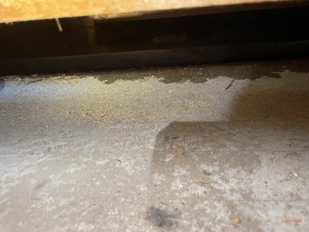 新潟市中央区にあるビルにて雨漏れ散水検査を行いました