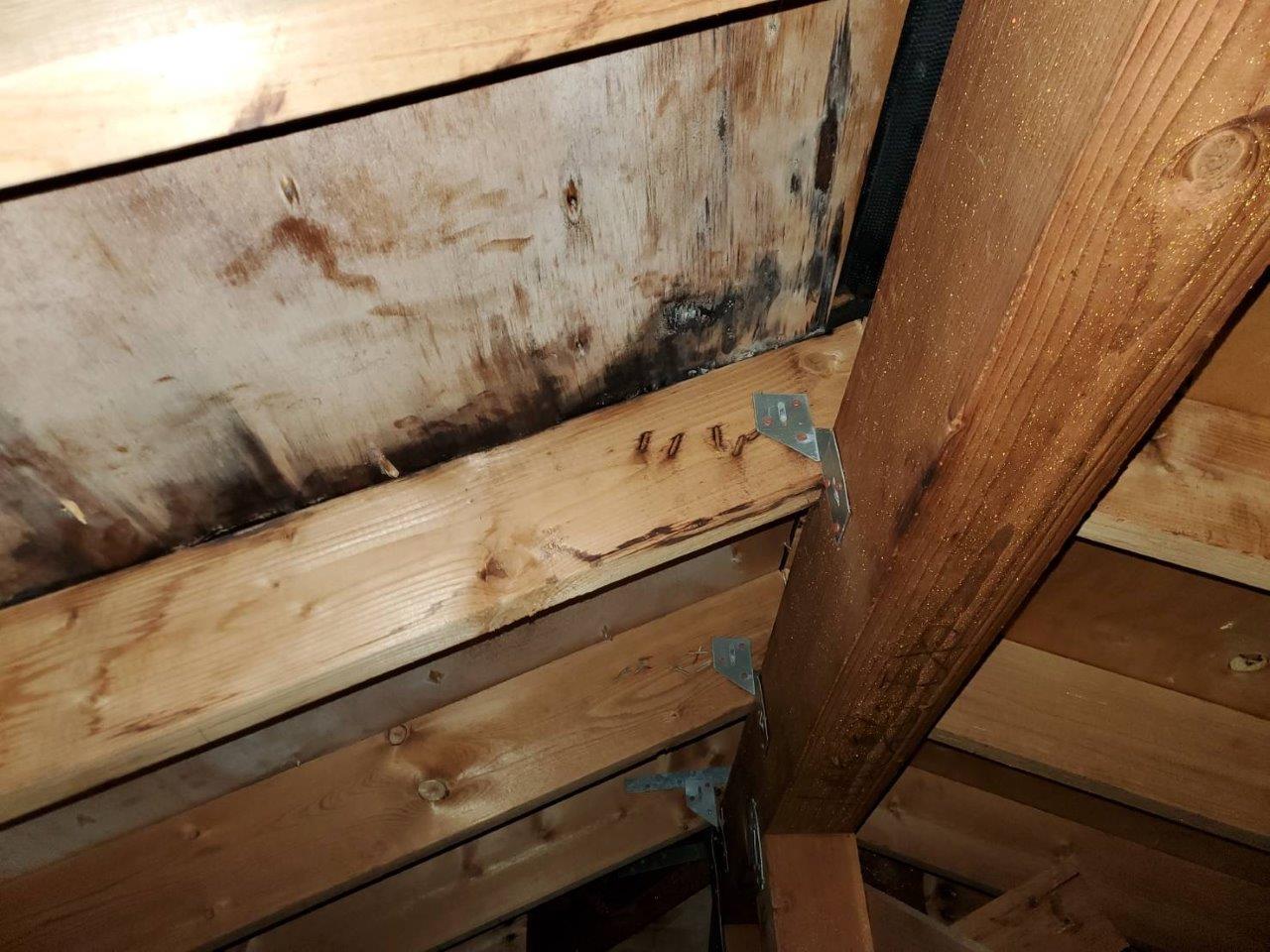 棟換気部より雨漏れ