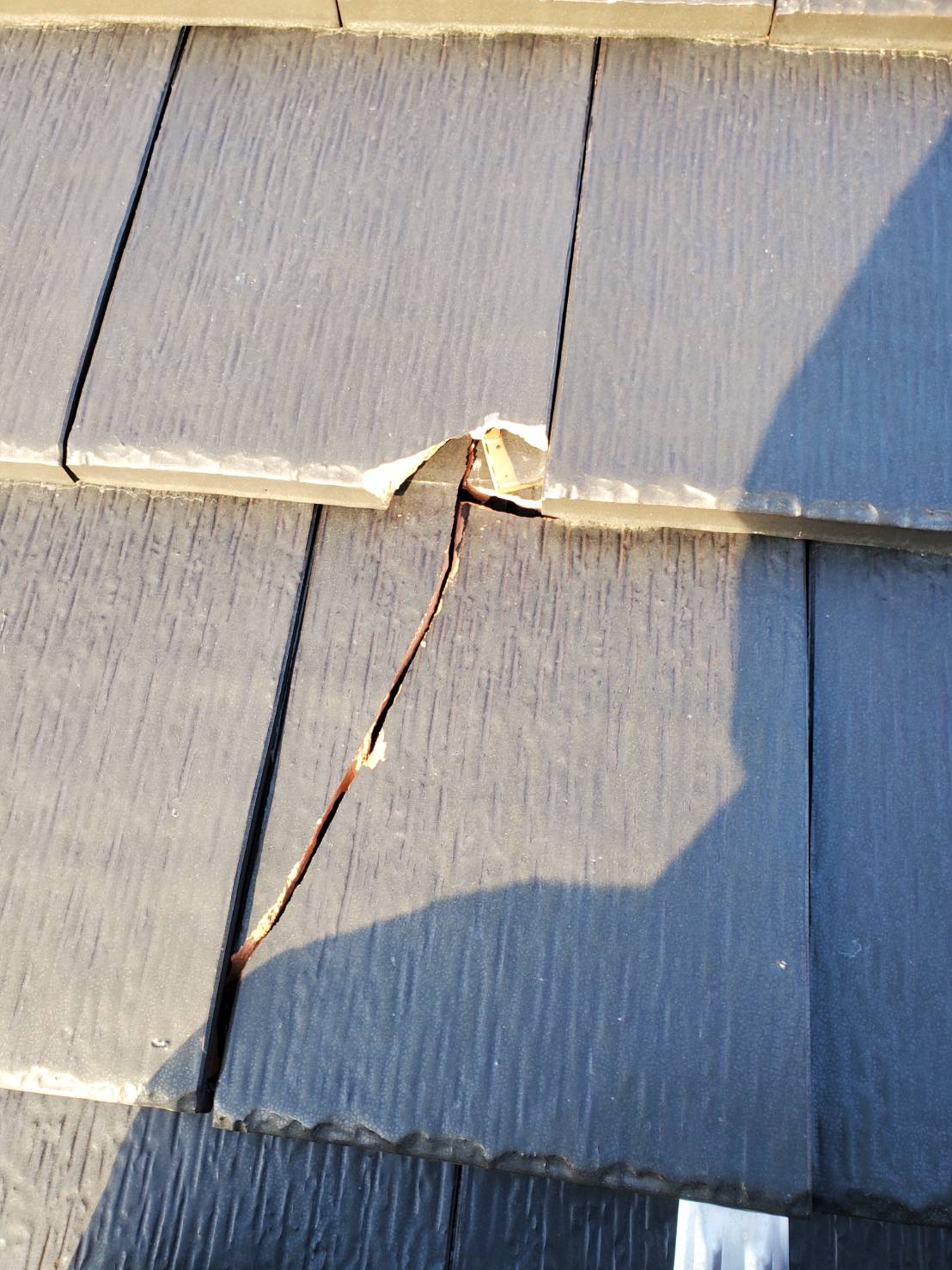 瓦の割れ　現地調査