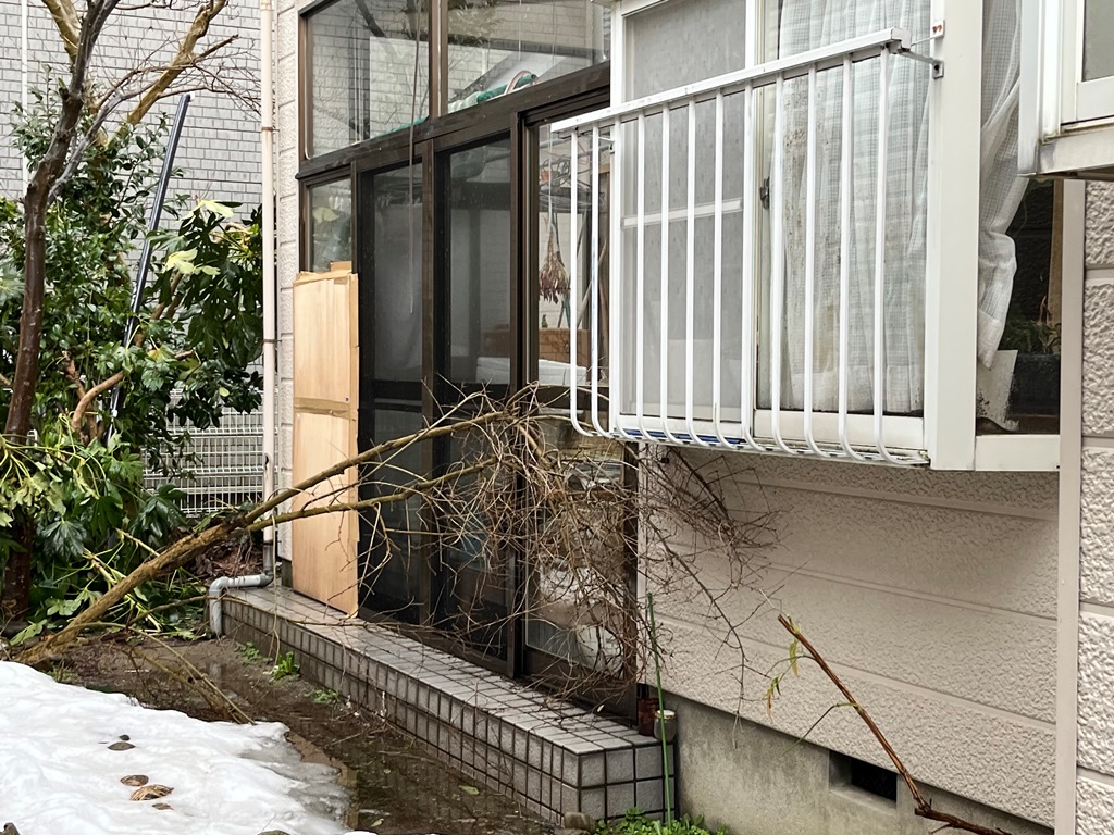 雪止め設置　現地調査