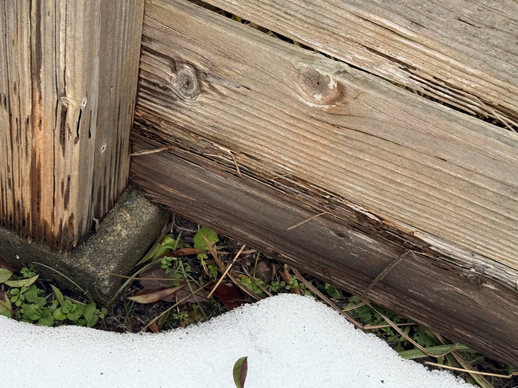 木塀の撤去　現地調査