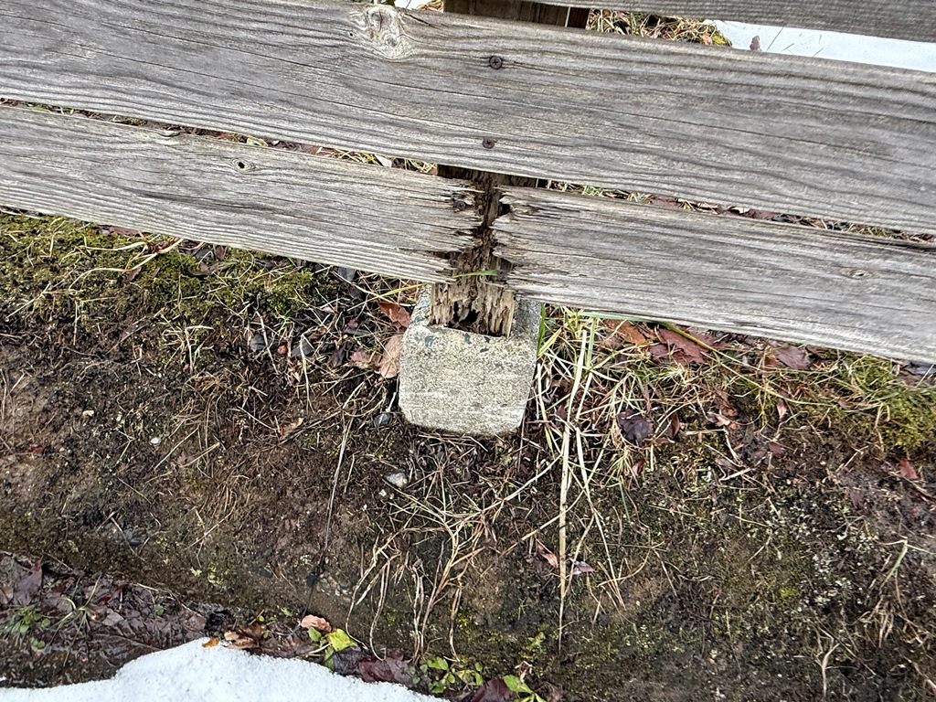 木塀の撤去　現地調査