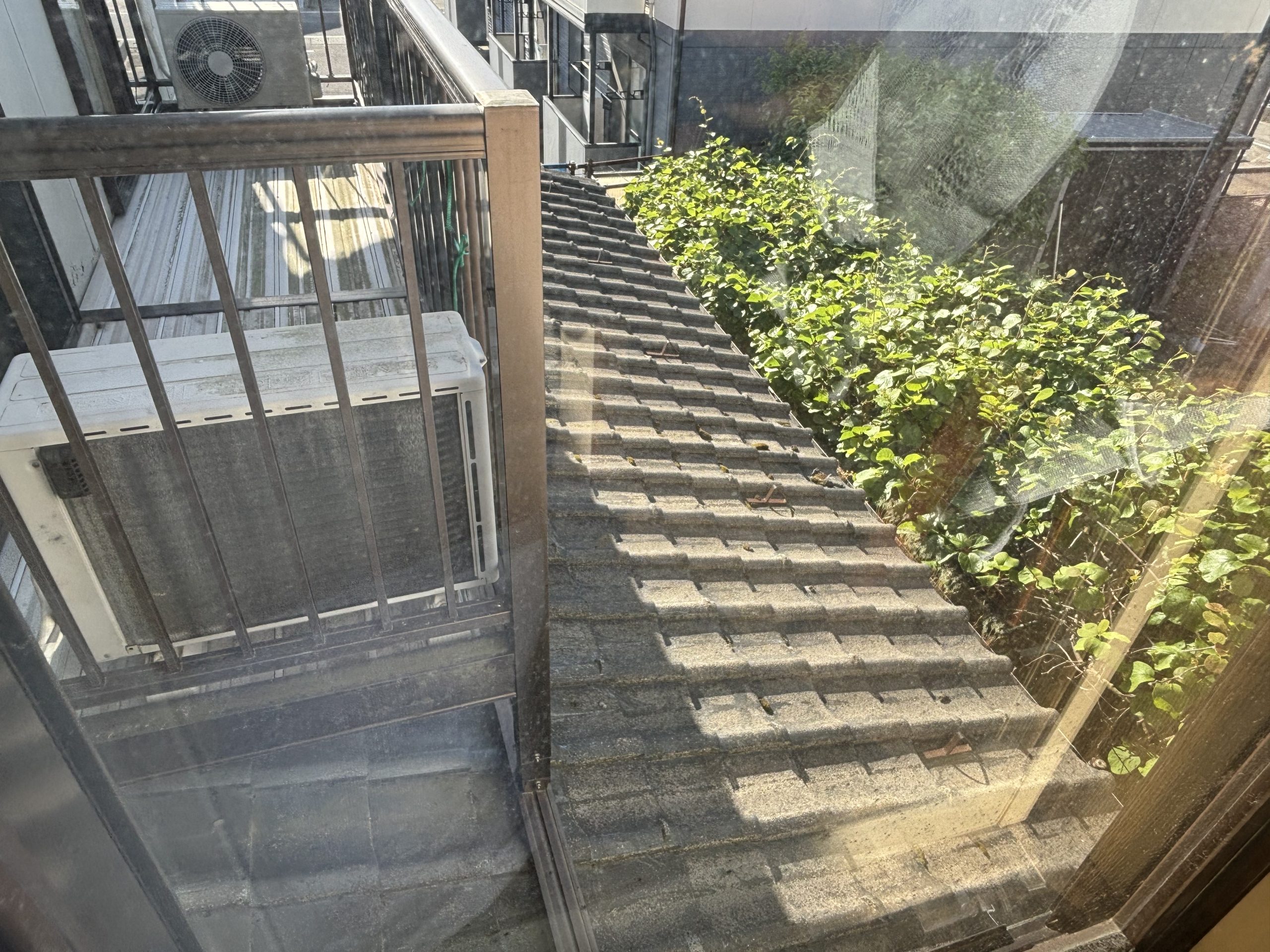 雨漏れ　現地調査