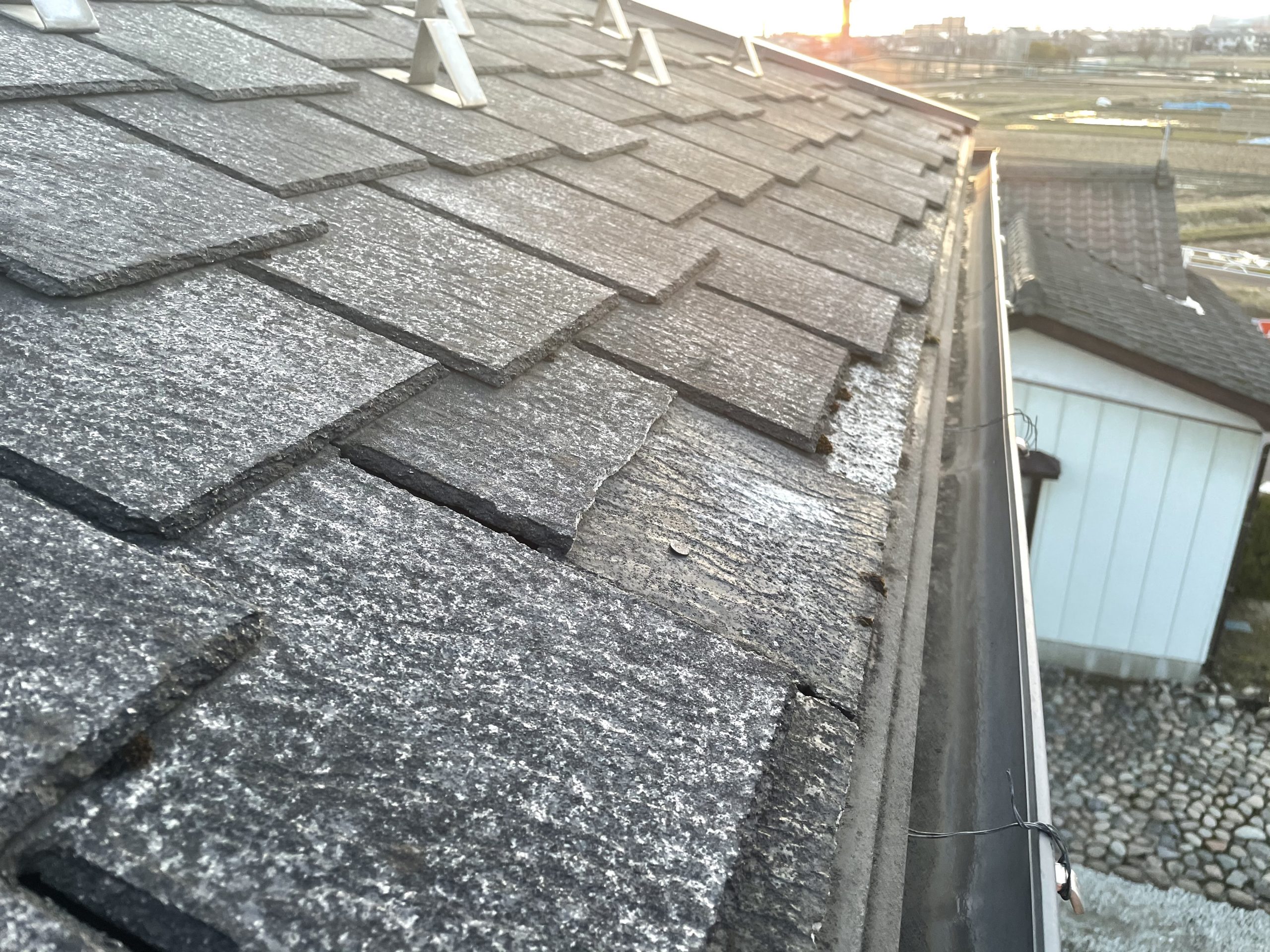 スレート屋根点検